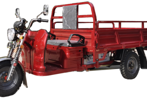 cargo-tricycle-e19