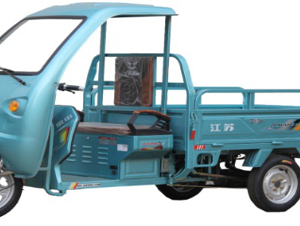 cargo-tricycle-e20