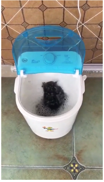 Mini Washer (5KG) ,Mini Portable Washing Machine - Image 2