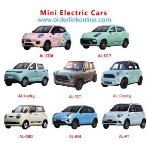 eec-certified-high-quality-electric-vehicles